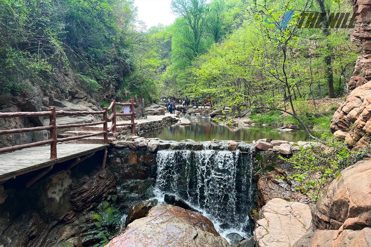 尼罗河春日伏羲山之行